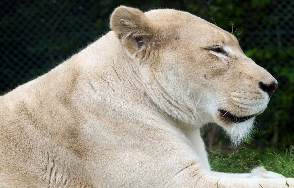 東北サファリパーク