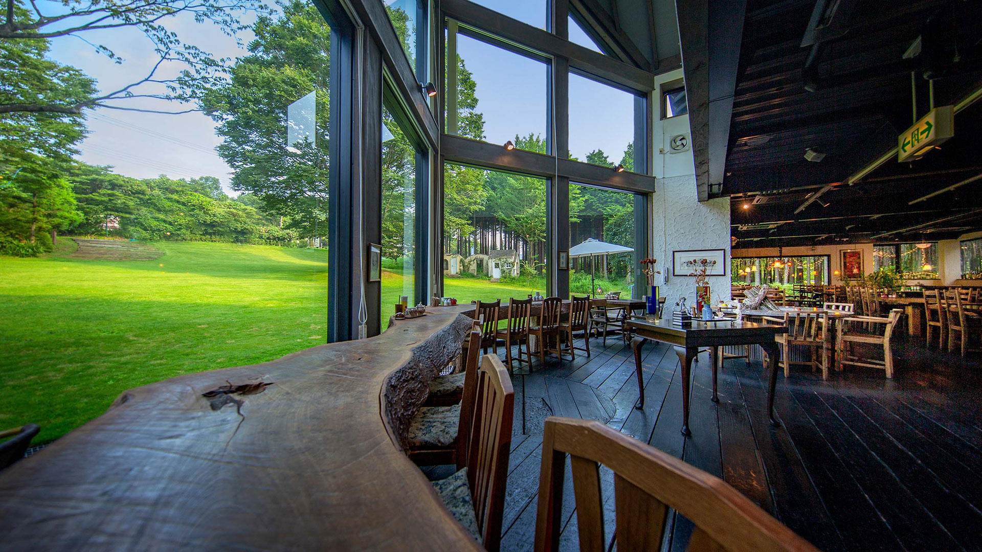 幻想的な自然飲食空間へようこそ