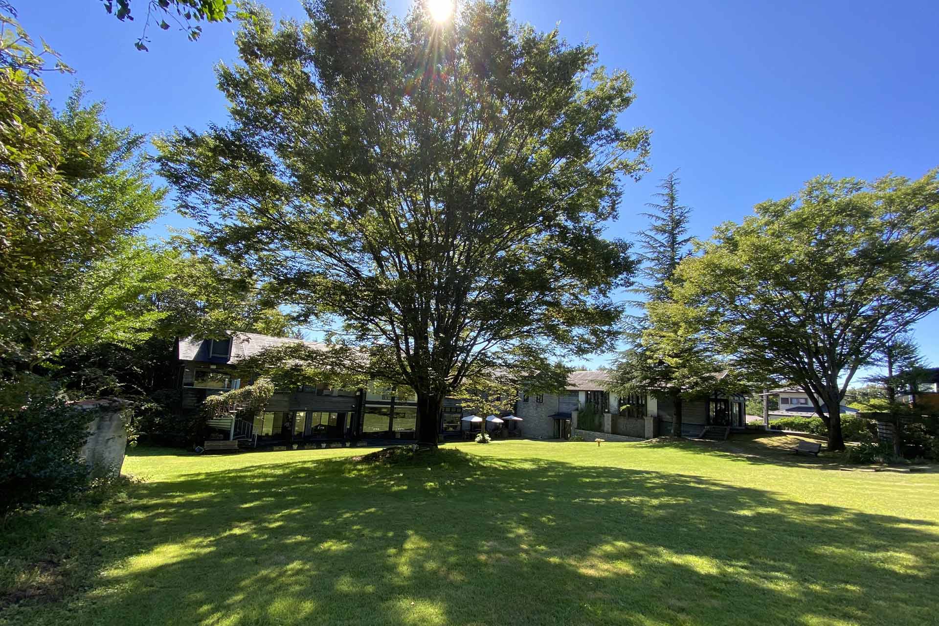 幻想的な自然飲食空間へようこそ