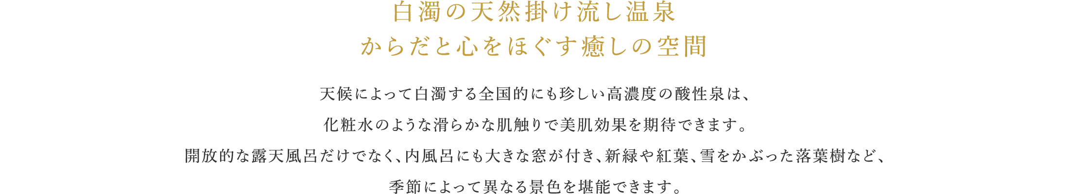 白濁の天然掛け流し温泉 からだと心をほぐす癒しの空間
